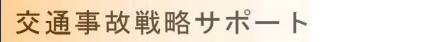 交通事故戦略サポート